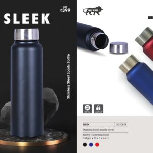 Stainless Steel Sports Bottle- SLEEK