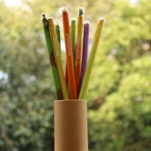 Seed Pencil Box (12 Pencils)