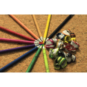 KINGFISHER Colouring Seed Pencils (10 pc) BG 08
